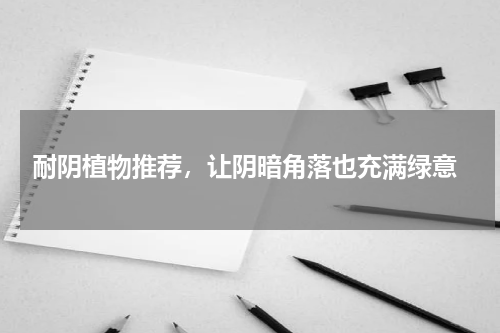  耐阴植物推荐，让阴暗角落也充满绿意