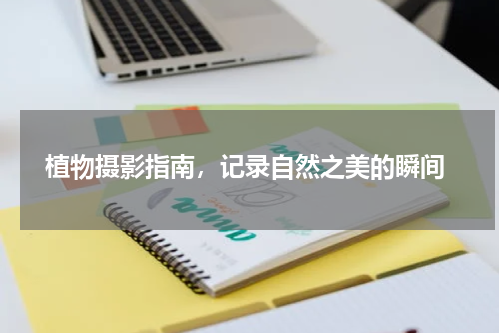  植物摄影指南，记录自然之美的瞬间