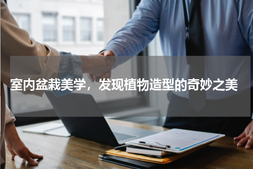  室内盆栽美学，发现植物造型的奇妙之美