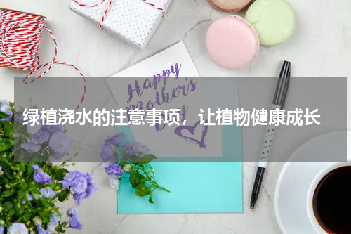  绿植浇水的注意事项，让植物健康成长