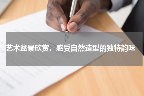  艺术盆景欣赏，感受自然造型的独特韵味