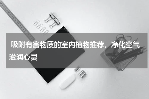  吸附有害物质的室内植物推荐，净化空气滋润心灵