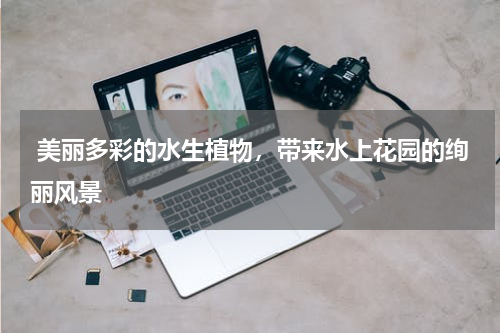  美丽多彩的水生植物，带来水上花园的绚丽风景