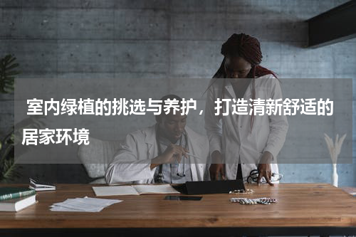  室内绿植的挑选与养护，打造清新舒适的居家环境