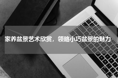  家养盆景艺术欣赏，领略小巧盆景的魅力