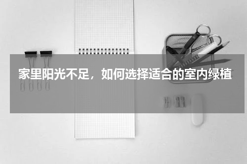  家里阳光不足，如何选择适合的室内绿植 