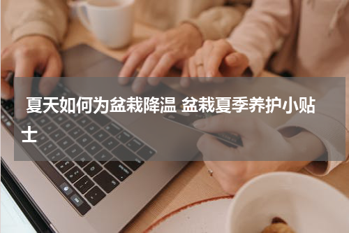  夏天如何为盆栽降温 盆栽夏季养护小贴士