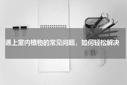  遇上室内植物的常见问题，如何轻松解决