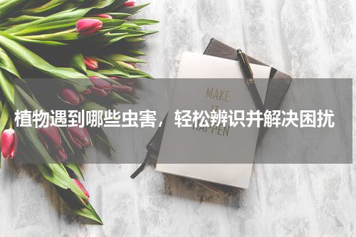  植物遇到哪些虫害，轻松辨识并解决困扰