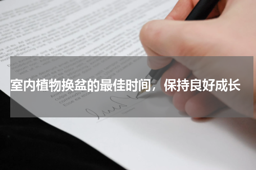  室内植物换盆的最佳时间，保持良好成长