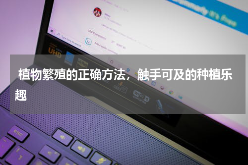  植物繁殖的正确方法，触手可及的种植乐趣 