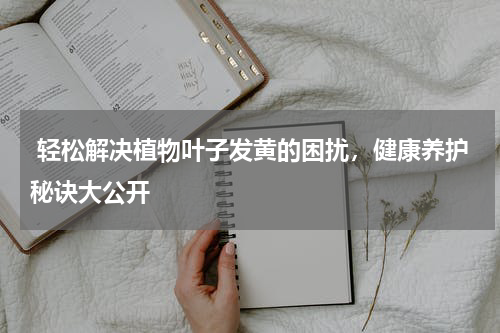  轻松解决植物叶子发黄的困扰，健康养护秘诀大公开
