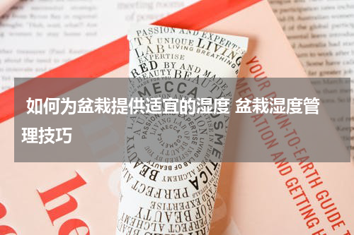  如何为盆栽提供适宜的湿度 盆栽湿度管理技巧