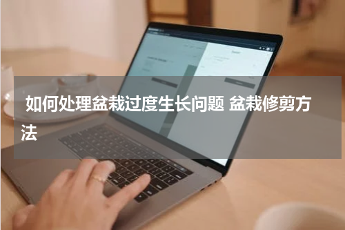  如何处理盆栽过度生长问题 盆栽修剪方法