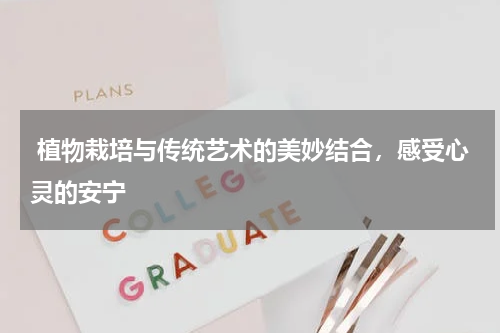  植物栽培与传统艺术的美妙结合，感受心灵的安宁 