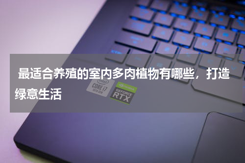  最适合养殖的室内多肉植物有哪些，打造绿意生活