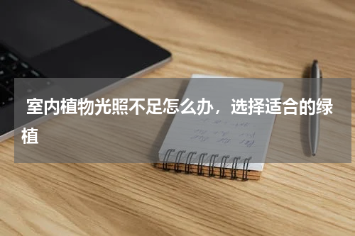  室内植物光照不足怎么办，选择适合的绿植