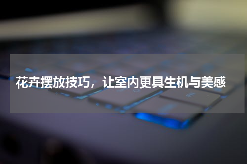  花卉摆放技巧，让室内更具生机与美感