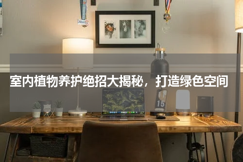  室内植物养护绝招大揭秘，打造绿色空间