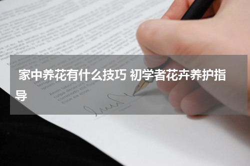  家中养花有什么技巧 初学者花卉养护指导