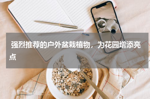  强烈推荐的户外盆栽植物，为花园增添亮点 