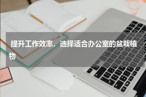  提升工作效率，选择适合办公室的盆栽植物 