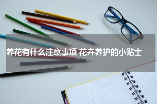  养花有什么注意事项 花卉养护的小贴士