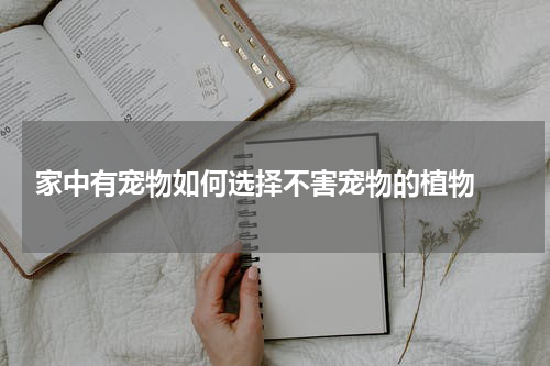  家中有宠物如何选择不害宠物的植物 