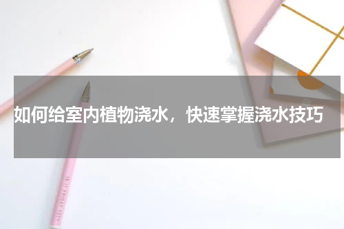  如何给室内植物浇水，快速掌握浇水技巧