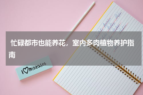  忙碌都市也能养花，室内多肉植物养护指南