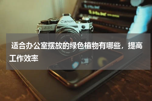  适合办公室摆放的绿色植物有哪些，提高工作效率