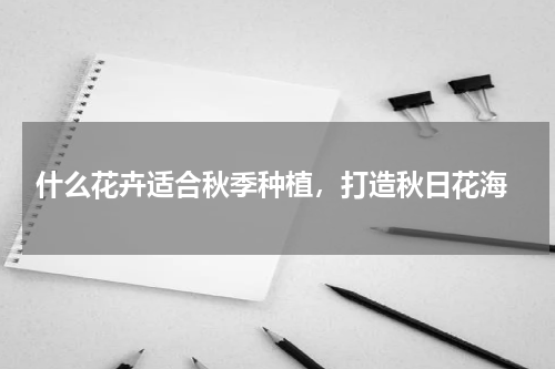  什么花卉适合秋季种植，打造秋日花海