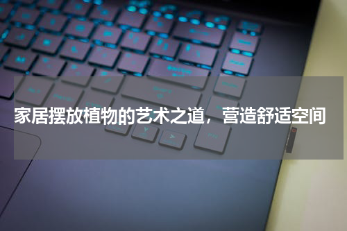  家居摆放植物的艺术之道，营造舒适空间