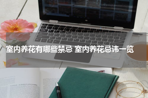  室内养花有哪些禁忌 室内养花忌讳一览