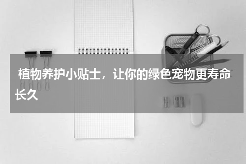  植物养护小贴士，让你的绿色宠物更寿命长久 