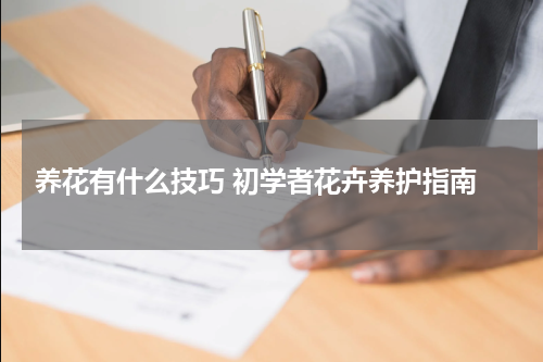  养花有什么技巧 初学者花卉养护指南