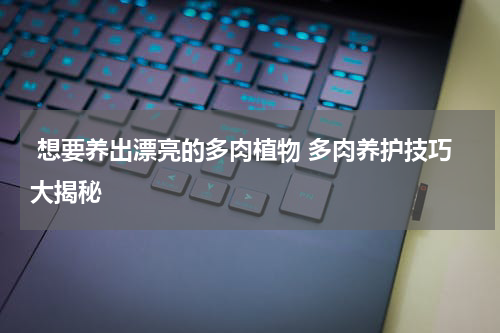  想要养出漂亮的多肉植物 多肉养护技巧大揭秘