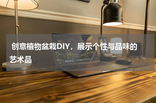  创意植物盆栽DIY，展示个性与品味的艺术品 