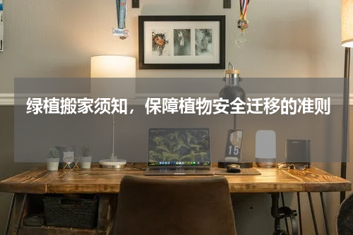  绿植搬家须知，保障植物安全迁移的准则 