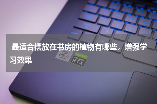  最适合摆放在书房的植物有哪些，增强学习效果