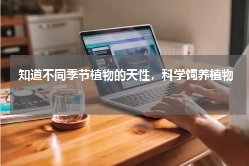  知道不同季节植物的天性，科学饲养植物 