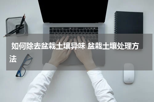  如何除去盆栽土壤异味 盆栽土壤处理方法