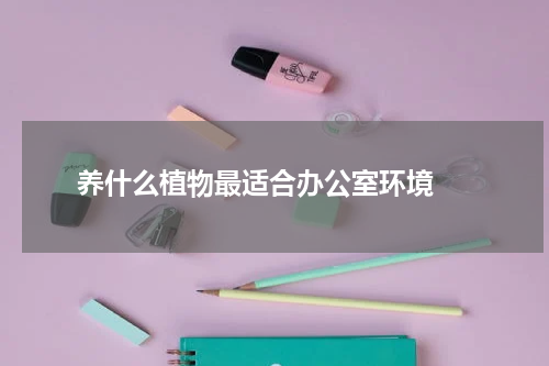  养什么植物最适合办公室环境 