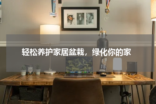  轻松养护家居盆栽，绿化你的家