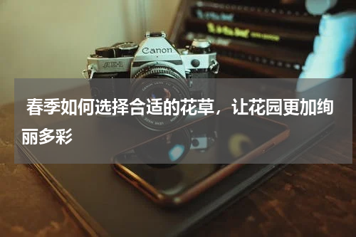 春季如何选择合适的花草，让花园更加绚丽多彩