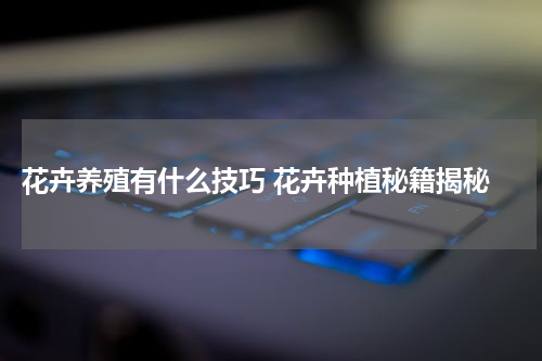  花卉养殖有什么技巧 花卉种植秘籍揭秘