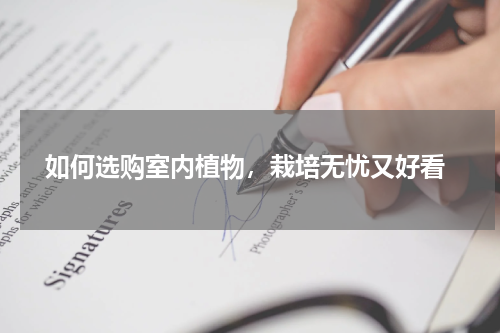  如何选购室内植物，栽培无忧又好看