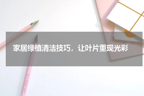  家居绿植清洁技巧，让叶片重现光彩