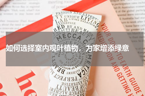 如何选择室内观叶植物，为家增添绿意 