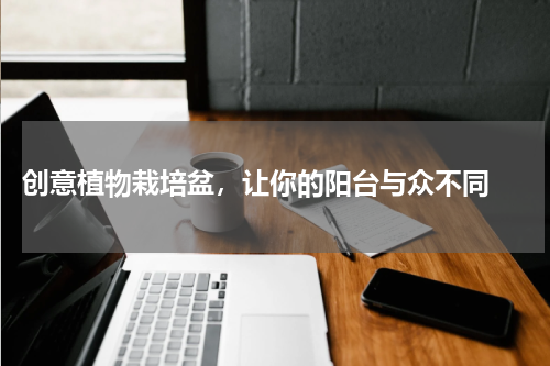  创意植物栽培盆，让你的阳台与众不同 